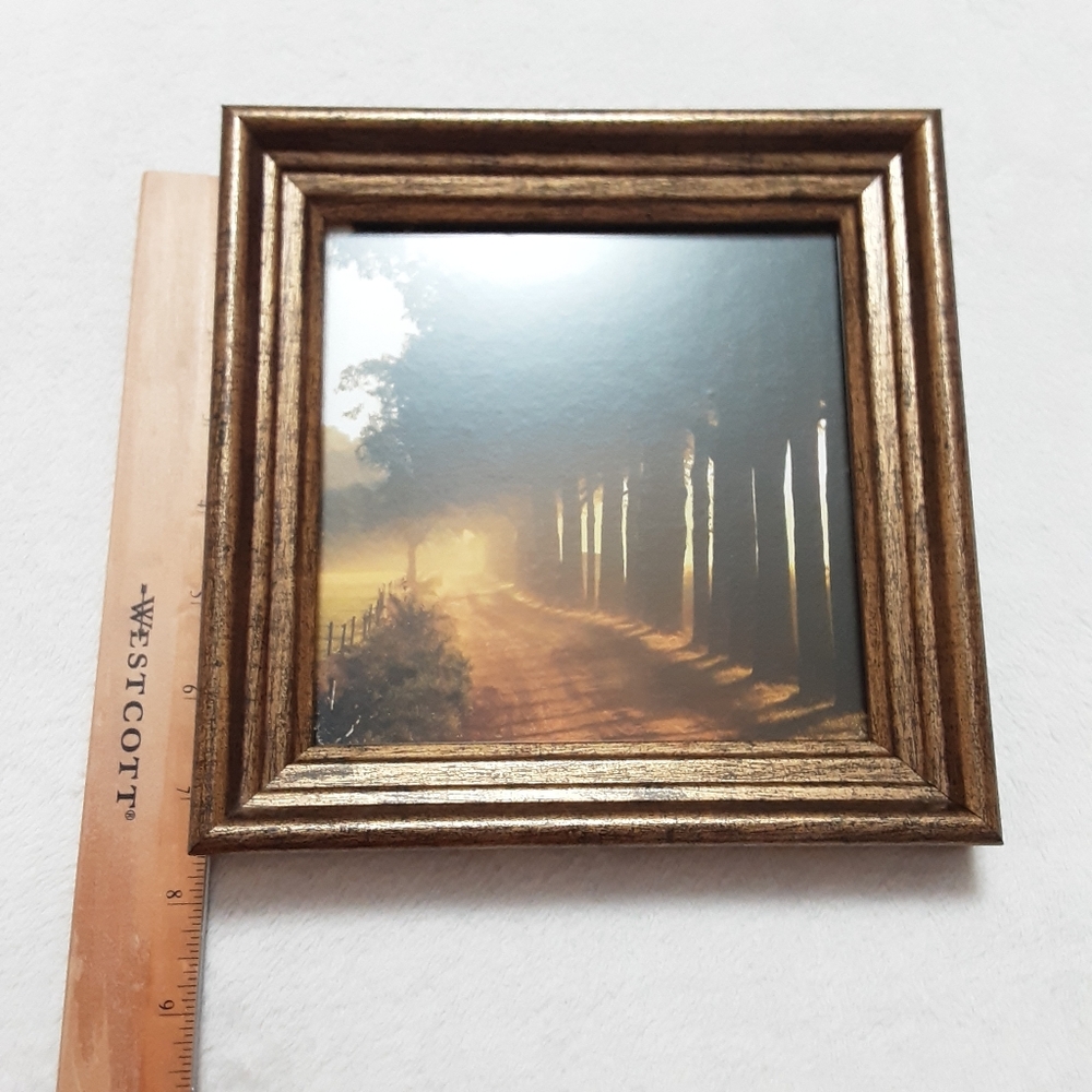 Scenic Nature Picture In Frame - Picture 3 of 5